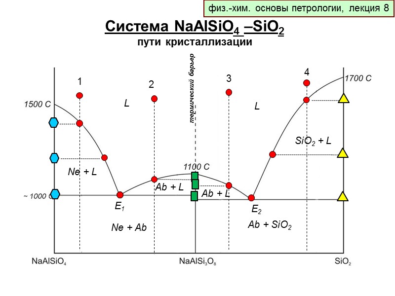 физ.-хим. основы петрологии, лекция 8 Система NaAlSiO4 –SiO2 пути кристаллизации Ne + L Ab